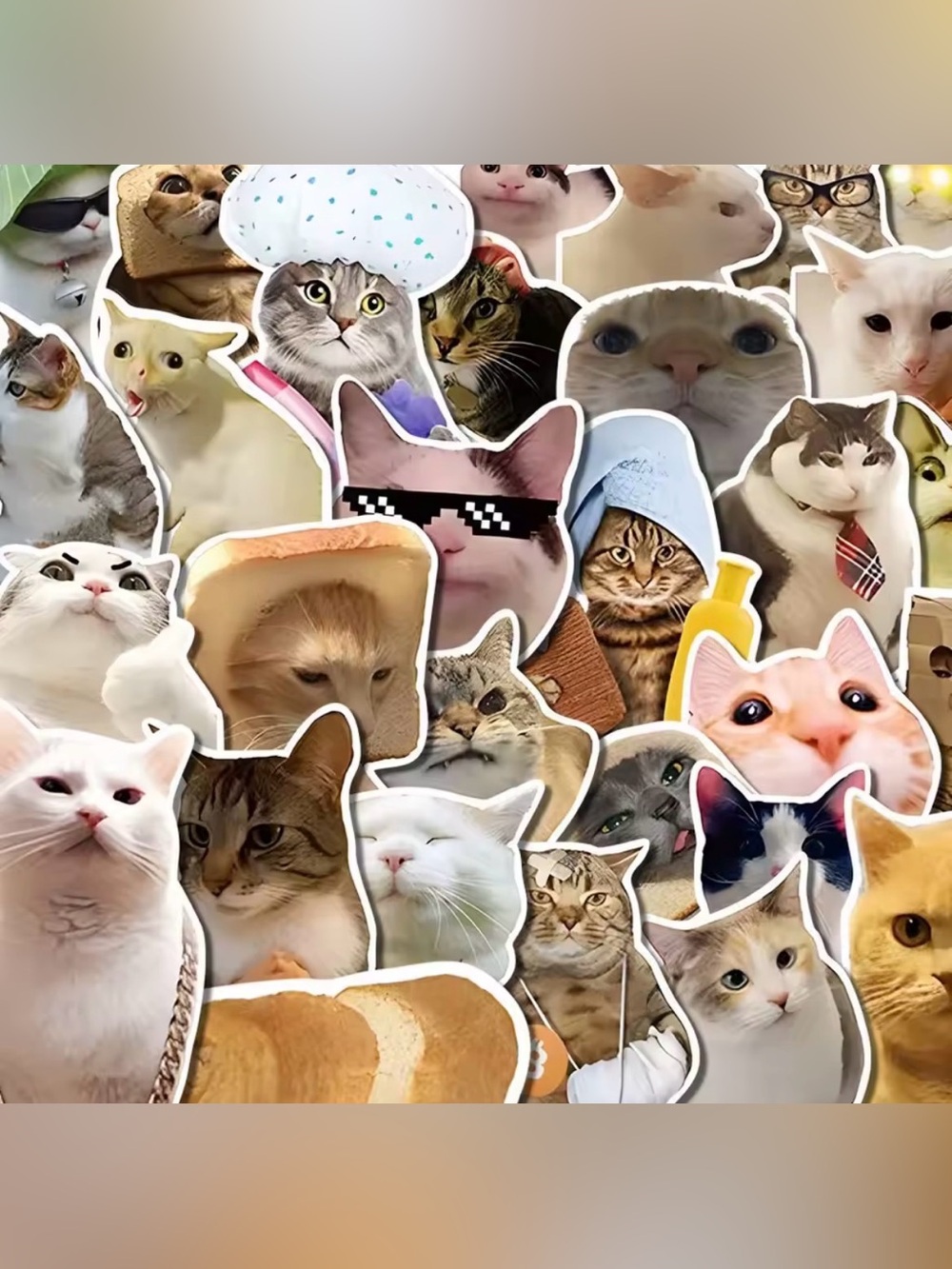 Funny Cat Meme Stickers 15 Pack Matte Vinyl Kawaii Kitty Decals
